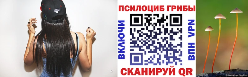 Псилоцибиновые грибы Cubensis  Рыльск 